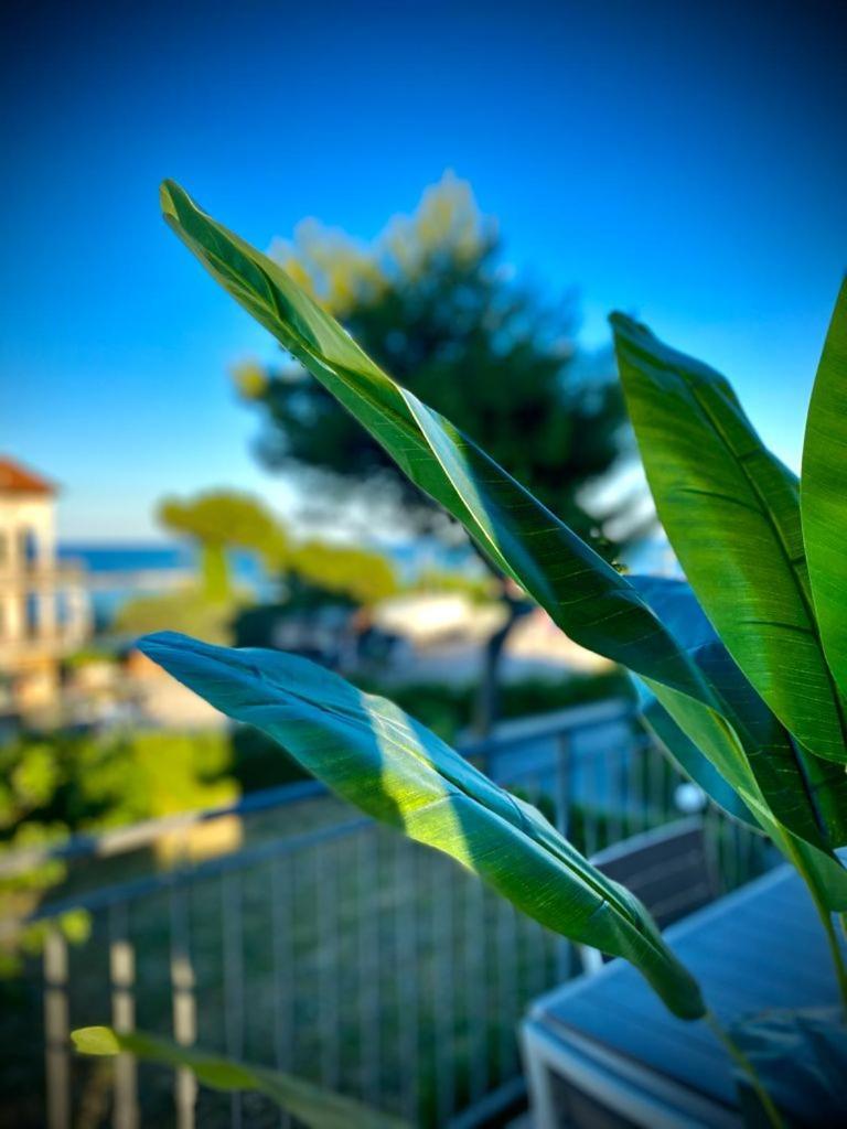 Apartmán La Marinella Massignano Pokoj fotografie